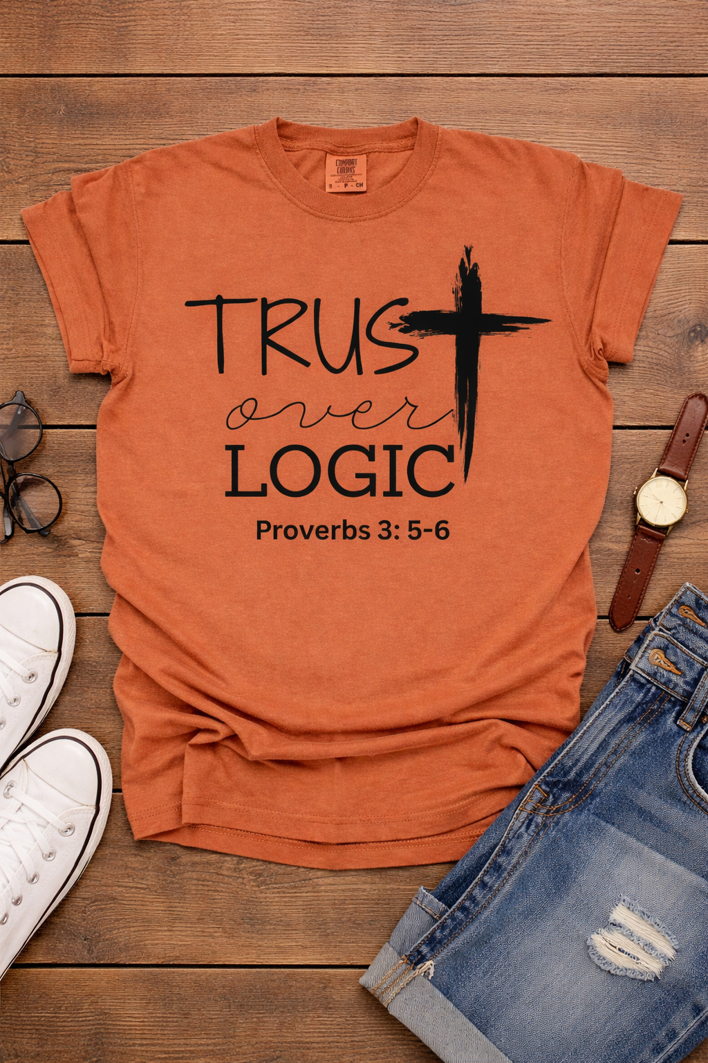 Trust over Logic Proverbs 3:5-6